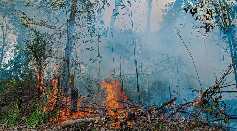 Detenidos cuatro voluntarios de los incendios de la Amazonía acusados de provocarlos para recibir donaciones