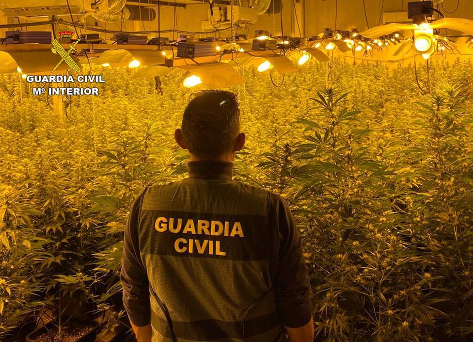 La Guardia Civil desmantela en Cartagena dos invernaderos clandestinos de marihuana y detiene a dos personas