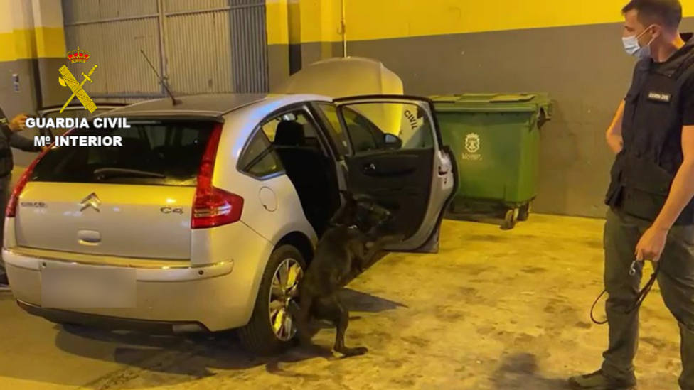 Júper, un agente canino detector de drogas, marca un coche con 12 kilos de hachís en el Puerto de Motril