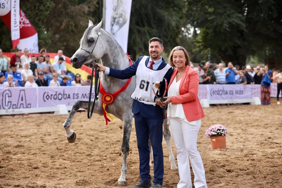 El XLII Campeonato de España de Caballos Árabes cierra con gran afluencia de público y más de 100 caballos
