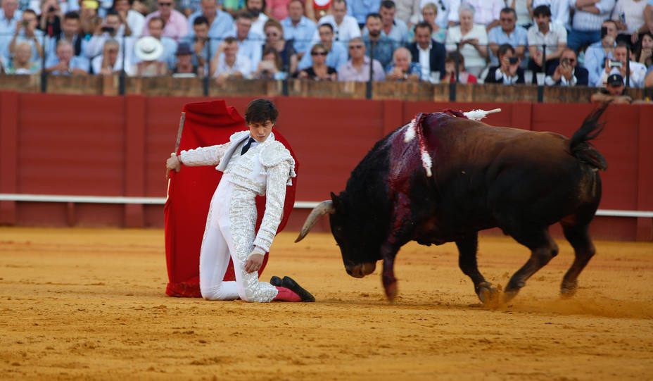 El PP acusa al Gobierno de querer acabar con el campo español al pretender prohibir los toros y la caza