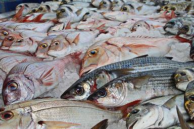 🐟​ 5 trucos para reconocer el pescado fresco 