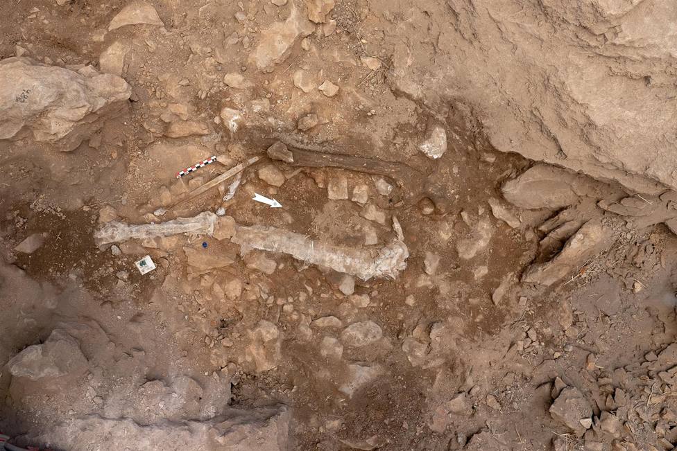 Hallan restos de homo sapiens de hace 14.000 años en el yacimento de Santa Linya, en Lleida
