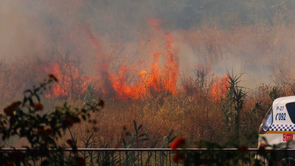 Declarado un incendio en el Parque Moret de Huelva