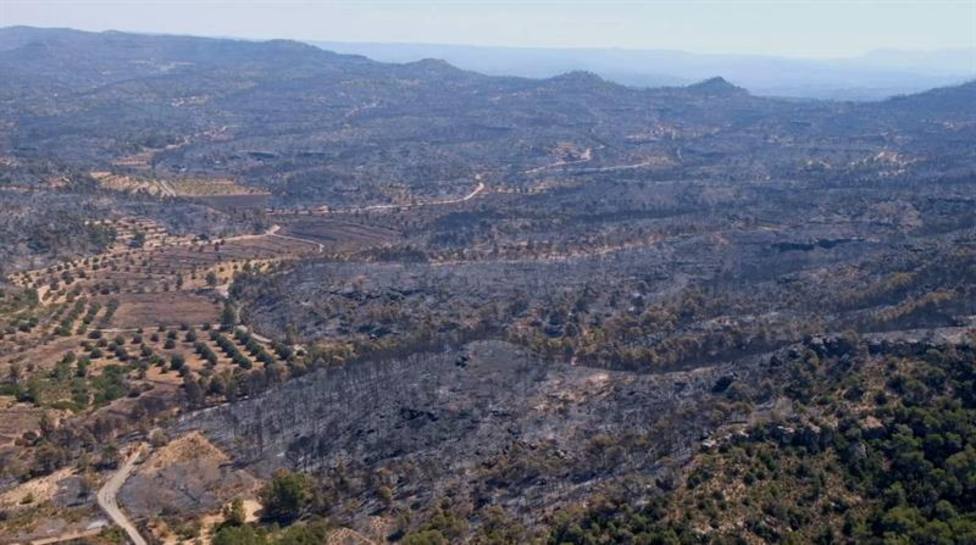 Estabilizado el incendio en Tarragona tras cuatro días activo