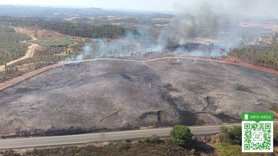 Extinguido el incendio forestal de Valverde del Camino (Huelva), que afecta a unas 8,2 hectáreas
