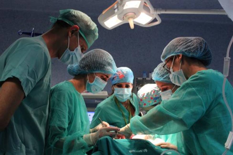 El Servicio de Urología de Albacete realiza un curso de formación para residentes y facultativos de otros hospitales de la región sobre extracción y trasplante renal