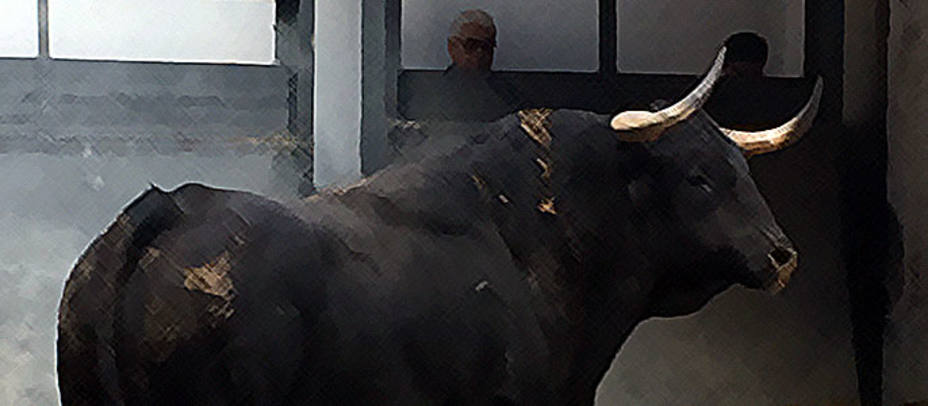 El toro y su reconocimiento en los corrales de una plaza, a debate en el Aula de Tauromaquia. S.N. / COPE.ES