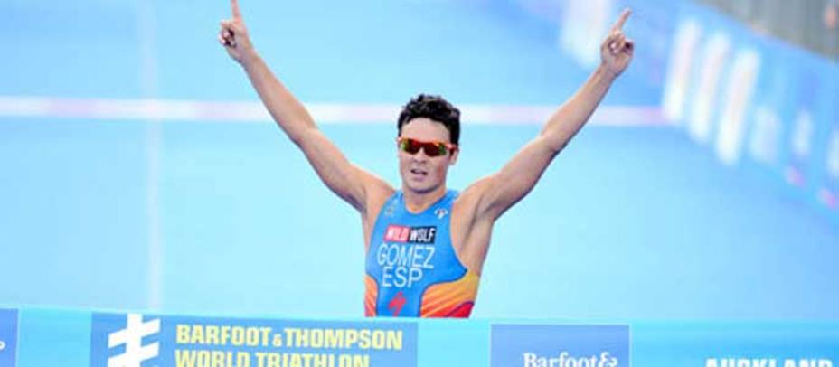 Gómez Noya cruza la línea de meta en el triatlón de Auckland