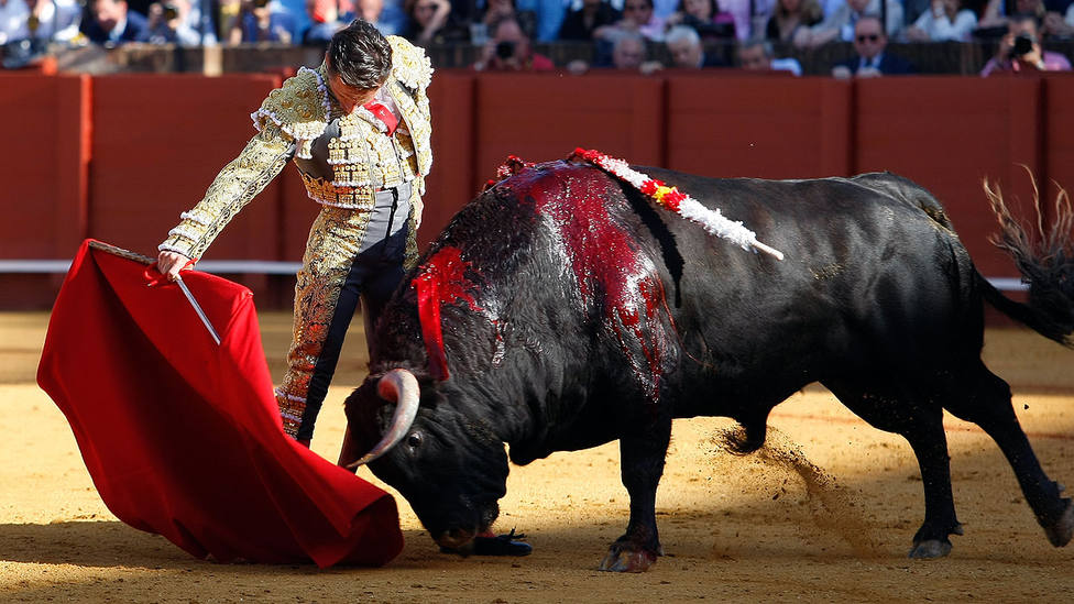 Templado derechazo de Diego Urdiales a su primer toro, con el que dio la vuelta al ruedo
