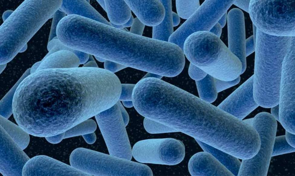 La listeria, una bacteria que ha provocado mucha incertidumbre