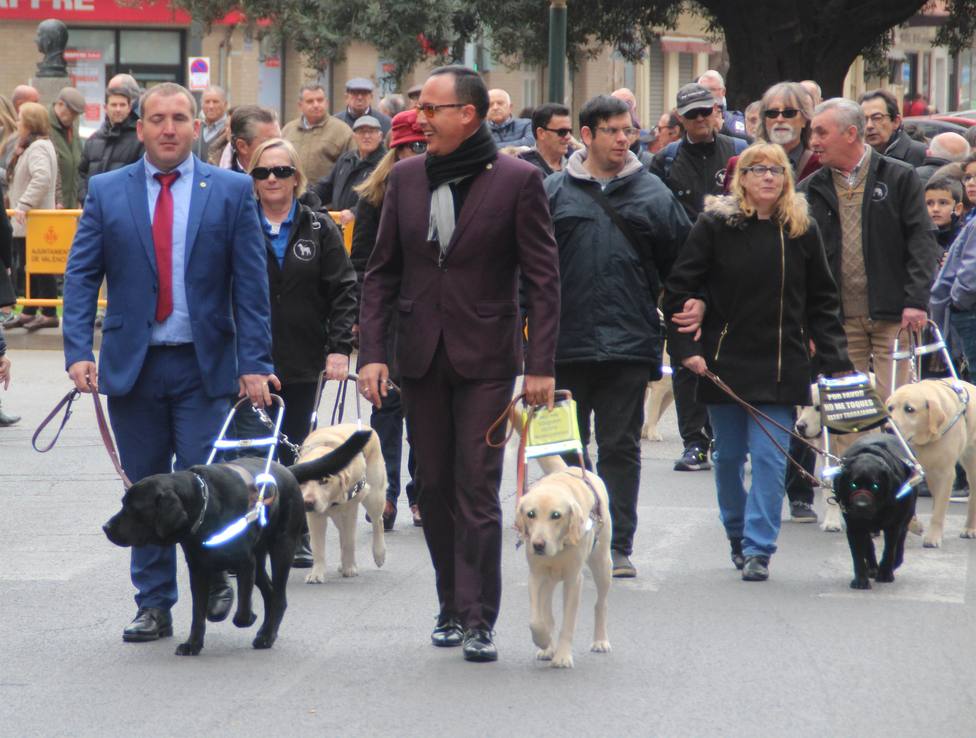 Los perros guías pasean este sábado por Madrid para reivindicar sus derechos de acceder a lugares públicos