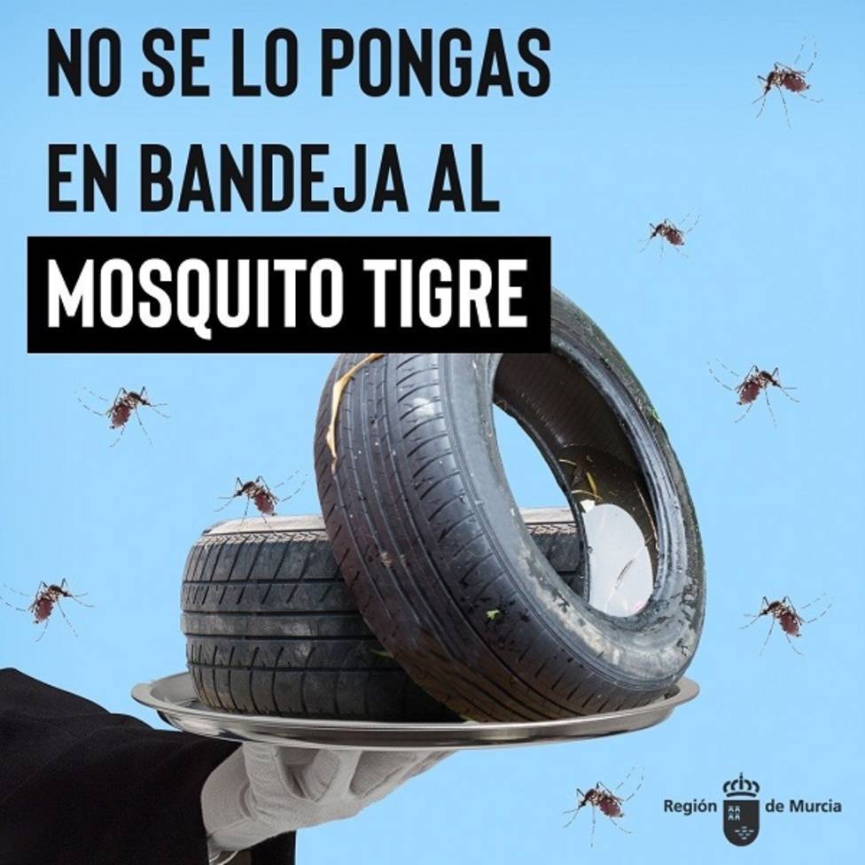 Salud lanza una campaña para evitar la proliferación del mosquito tigre