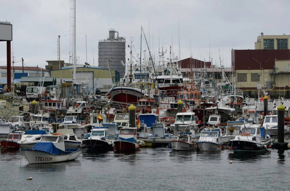 Una empresa noruega proyecta invertir 40M en una planta para producir salmón en Burela