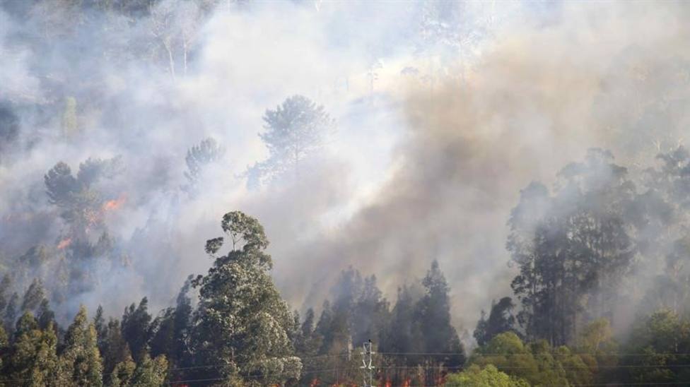 Incendio Forestal en Llanes (Archivo)