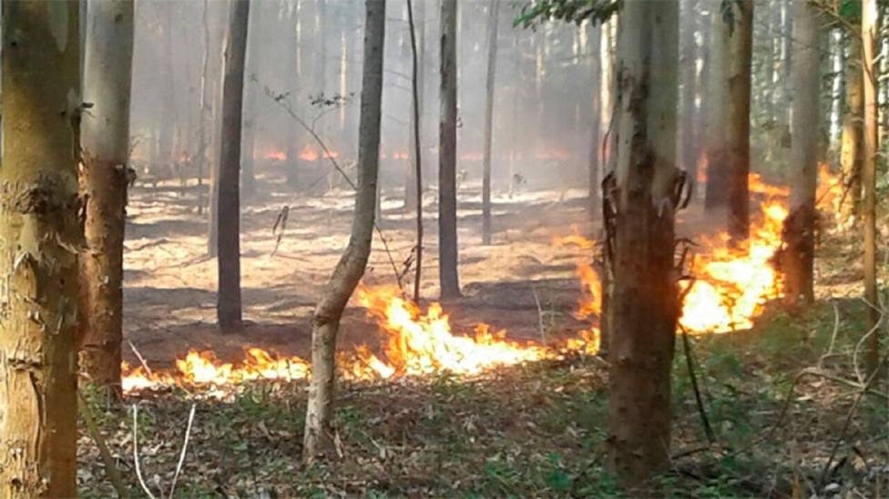 Imagen de un incendio forestal