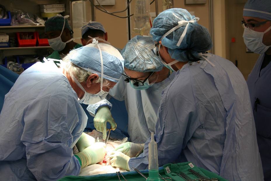 Cirugía durante un transplante