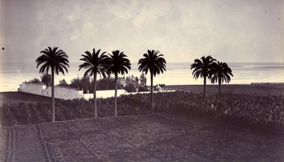 Camposanto de Vegueta en el siglo XIX