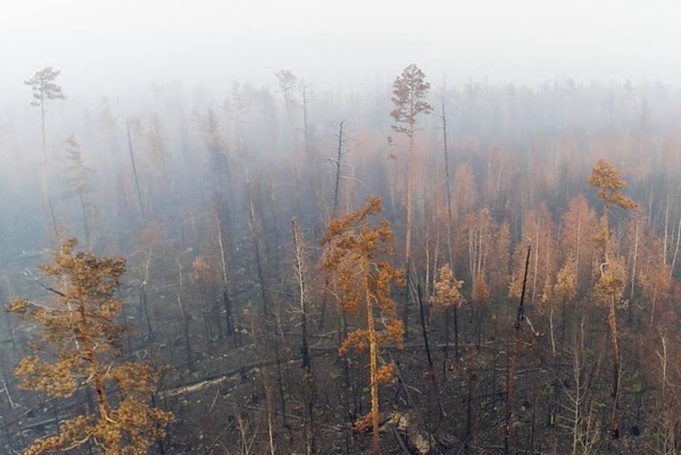 Los incendios en Siberia arrasan 4,3 millones de hectáreas y emiten 166 millones de toneladas de CO2, según Greenpeace