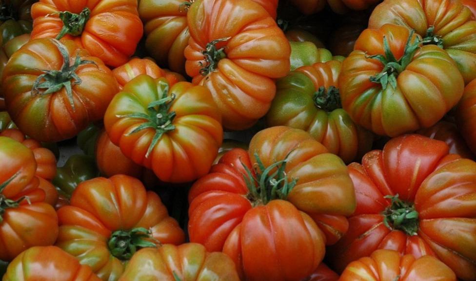 Esta es la parte más sabrosa y desconocida de los tomates Raf de Almería