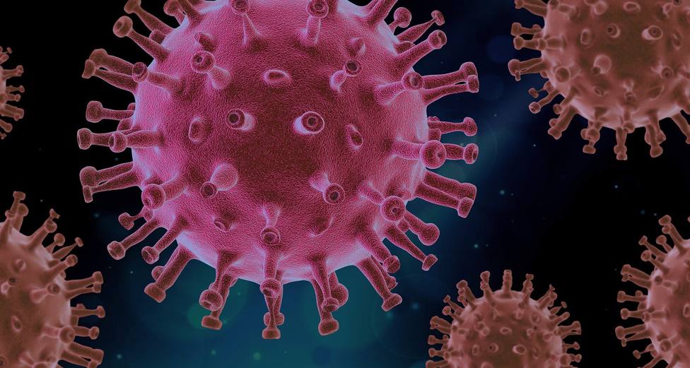 ¿Cómo podemos sobrevivir a los rebrotes de coronavirus sin vacuna?