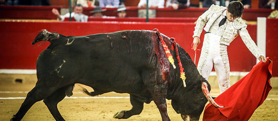 Natural de Juan del Álamo en Zaragoza, que saludó una ovación en el primer toro de su lote. TESEO COMUNICACIÓN