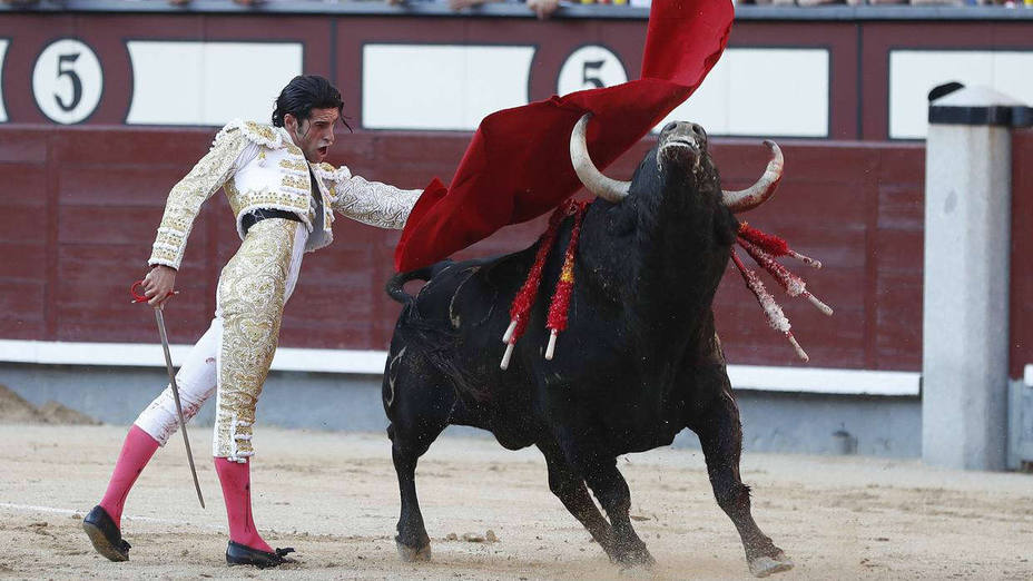El diestro extremeño, Alejandro Talavante, con su primer toro Aguador de la ganadería de Núñez del Cuvillo