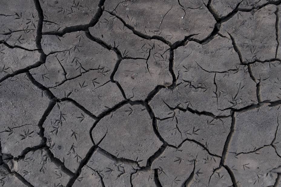 Científicos del IPCC prepararán la próxima semana en Colombia un informe especial sobre cambio climático y uso del suelo