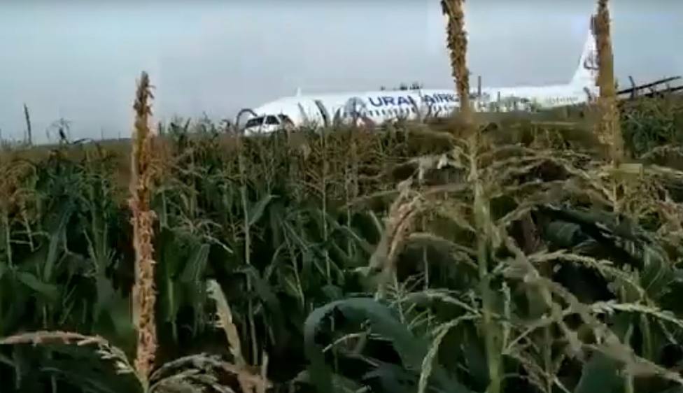 Un Airbus 321 aterriza de panza en un campo de maíz en las afueras de Moscu