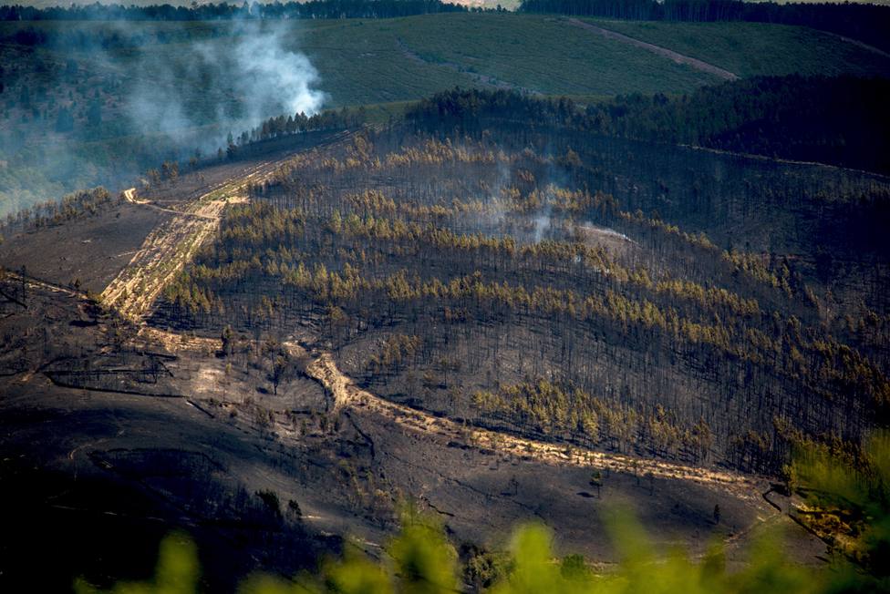 Incendio en A Gudiña (Ourense) tras quemar unas 440 hectáreas