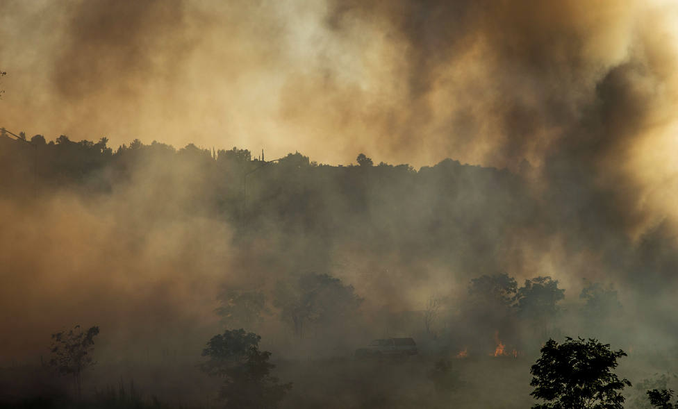 Arrasadas120 hectáreas de masa forestal por un incendio en Monávar, Alicante