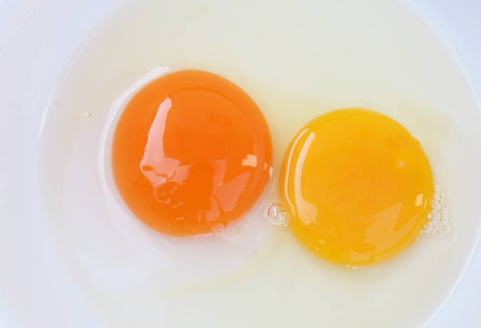 ¿Qué dice el color de la yema de huevo sobre la salud del pollo?
