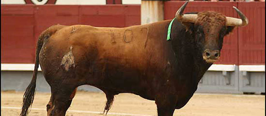 La ganadería de Fuente Ymbro hará doblete finalmente en este San Isidro. LAS-VENTAS.COM
