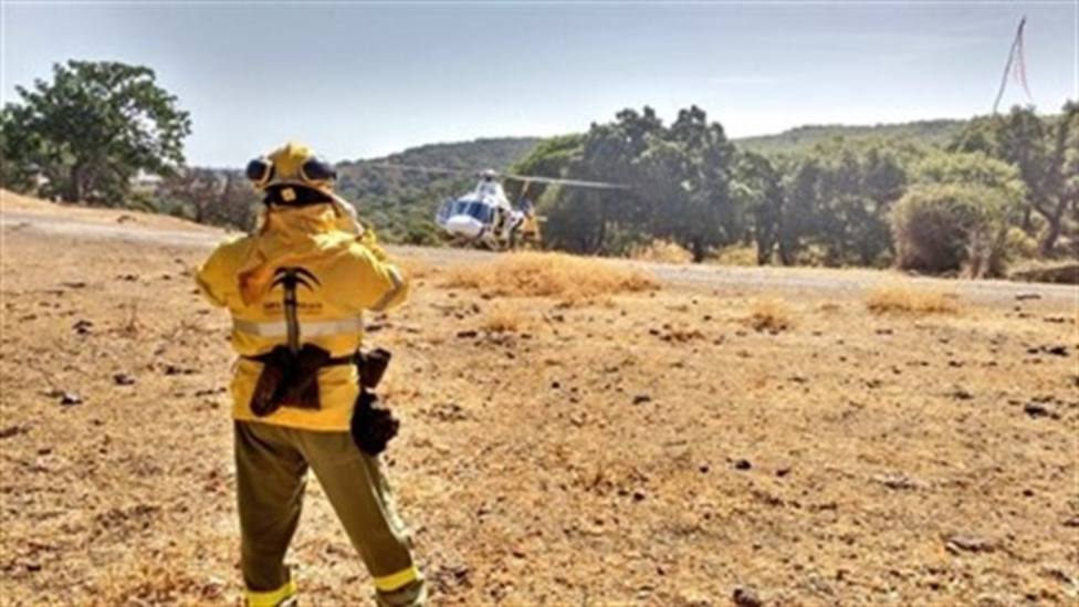 Evacuadas 40 personas por un incendio forestal en El Madroño (Sevilla)