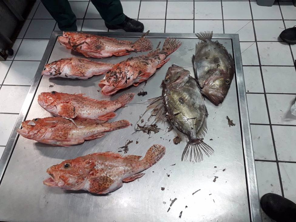 El Govern impone sanciones graves por pescar en reservas marinas de Baleares
