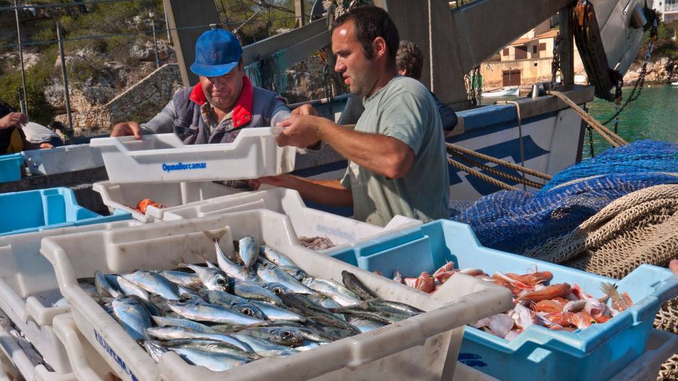 Un pescador de Murcia revela las consecuencias que sufre en su trabajo por la ola de calor: El 90%