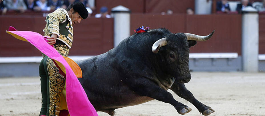 Manuel Jesús El Cid saludando de capote a uno de los toros de Victorino Martín lidiados este viernes en Madrid. EFE