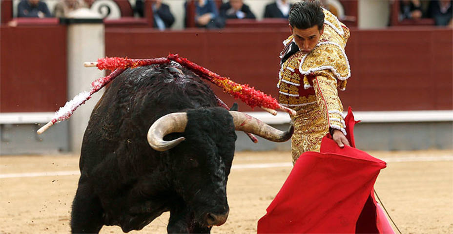 Alberto Aguilar pasando de muleta a Camarín, el notable toro de Baltasar Ibán jugado este domingo en Madrid. EFE