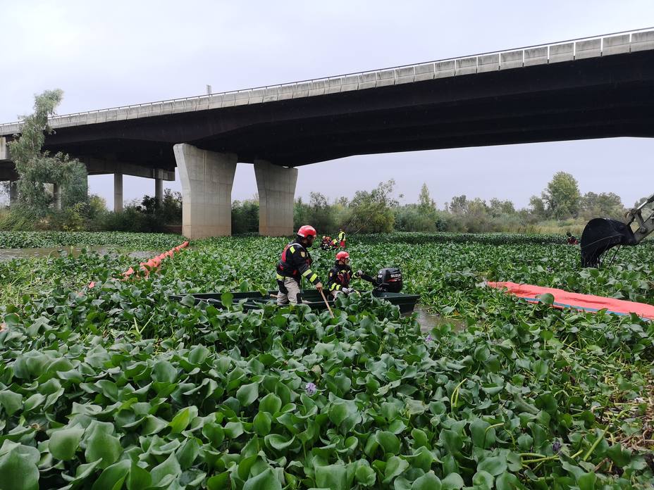 Efectivos de la UME inician en Badajoz los trabajos para eliminar el camalote del río Guadiana