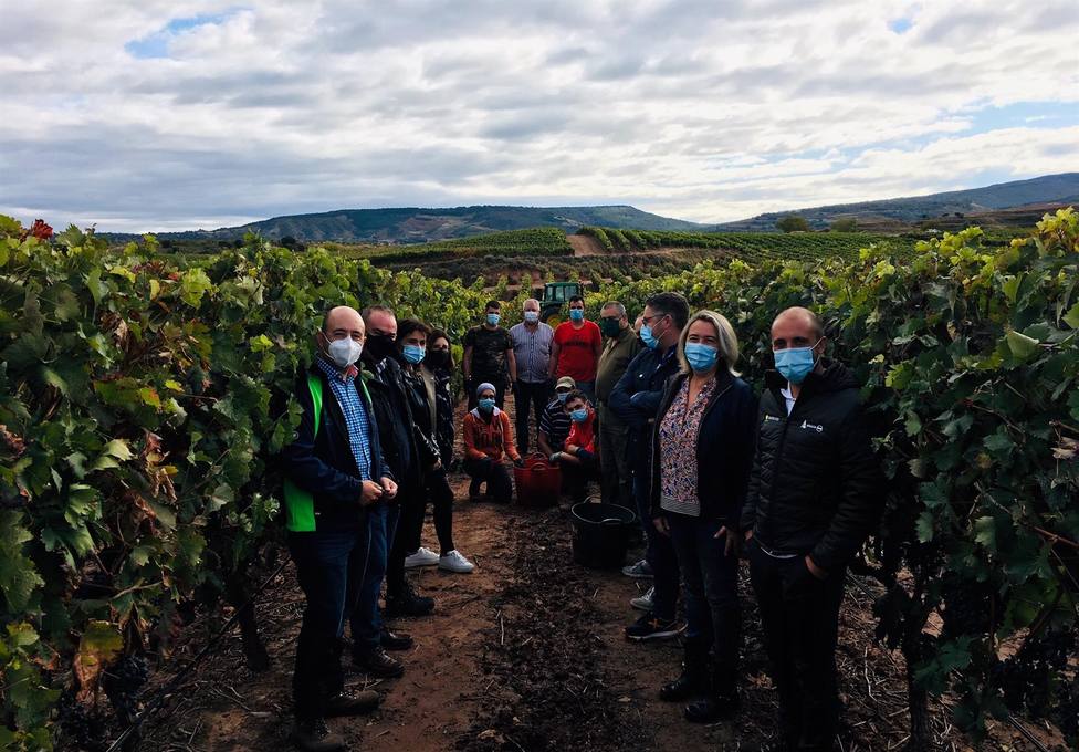 ARAG-ASAJA advierte a Hita de operaciones de compra de uva por debajo de los costes de producción