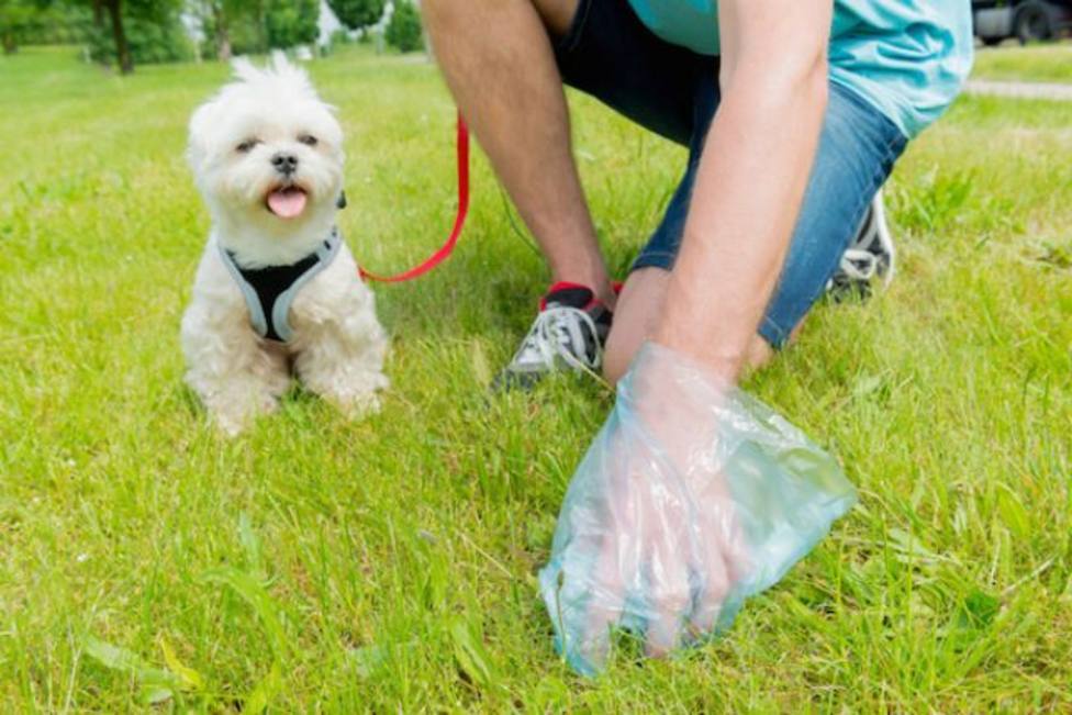 Logroño recomienda que los propietarios de perros limpien con una botella de agua sus excrementos y orines