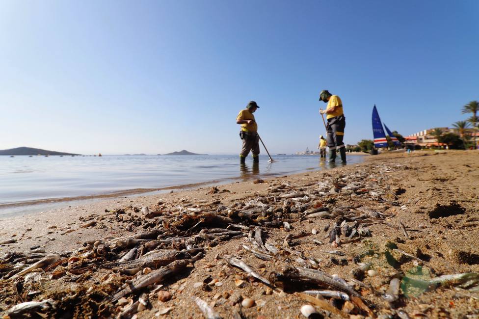 Teresa Ribera viajará al Mar Menor ante el grave deterioro ambiental que sufre la laguna
