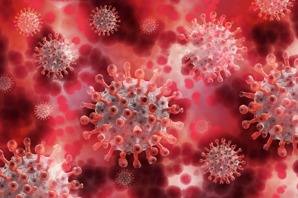 El alarmante estudio que inquieta a los hombres sobre el coronavirus y cómo afecta a los testículos