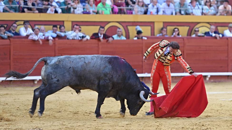 Antonio Ferrera ante Veronés, el toro de Victorino Martín indultado este sábado en Algeciras