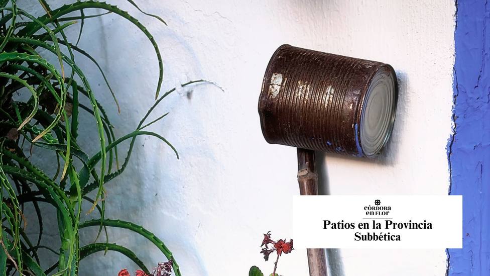 Descubre los Patios de la provincia de Córdoba con Córdoba en Flor: Subbética