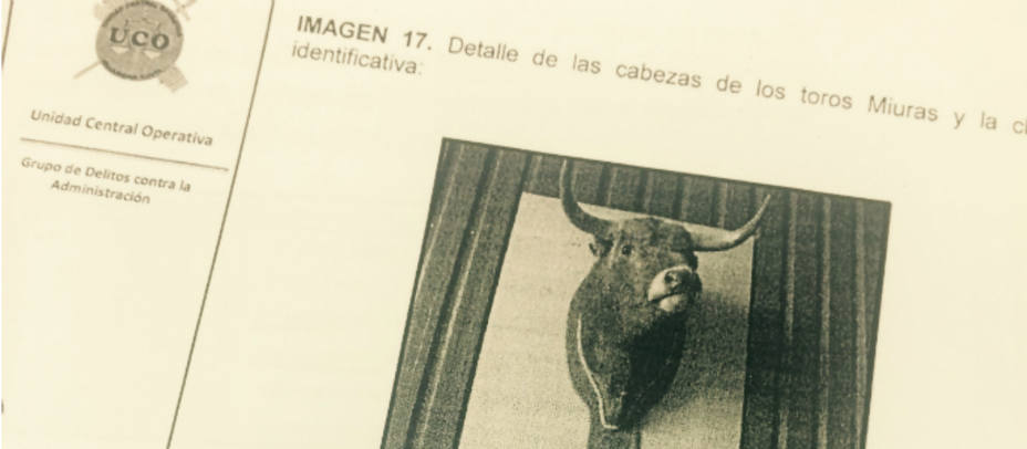 Placa que identifica una de las reses matadas por el torero Padilla a las que ha tenido acceso COPE