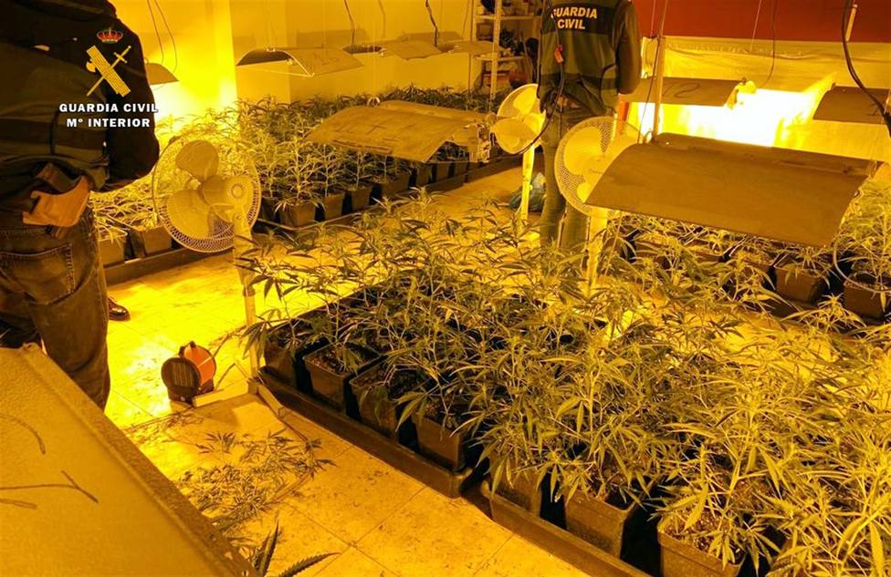 Detenidos dos candidados de Podemos Laredo por una instalación para 500 plantas de marihuana