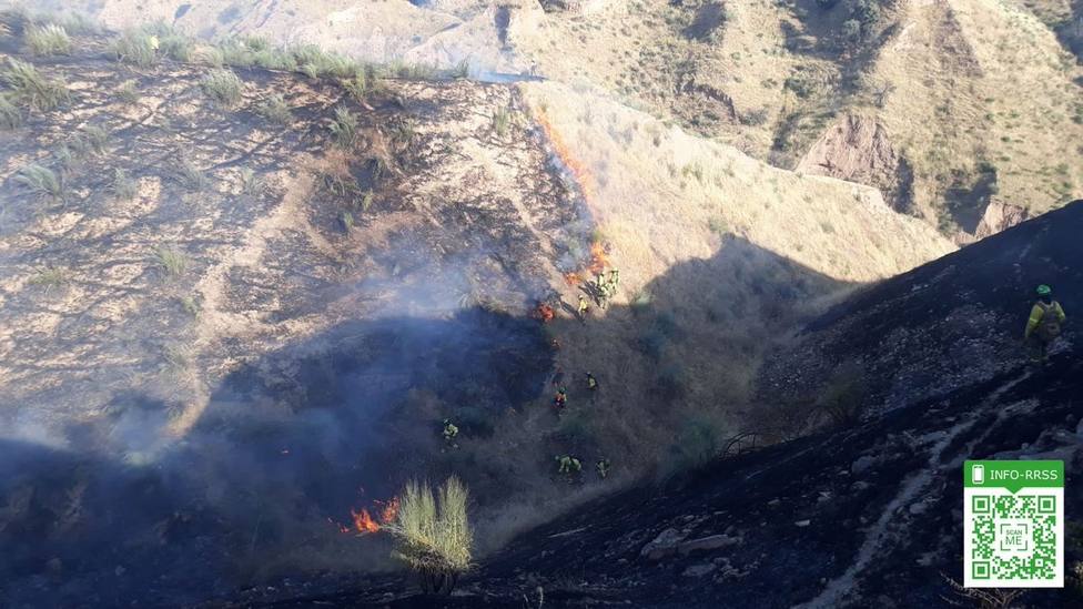 Declarado un incendio forestal en Pinos del Valle (Granada)