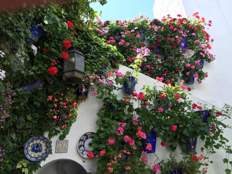 Visita los Patios de Córdoba con uno de los hoteles emblemáticos de la ciudad