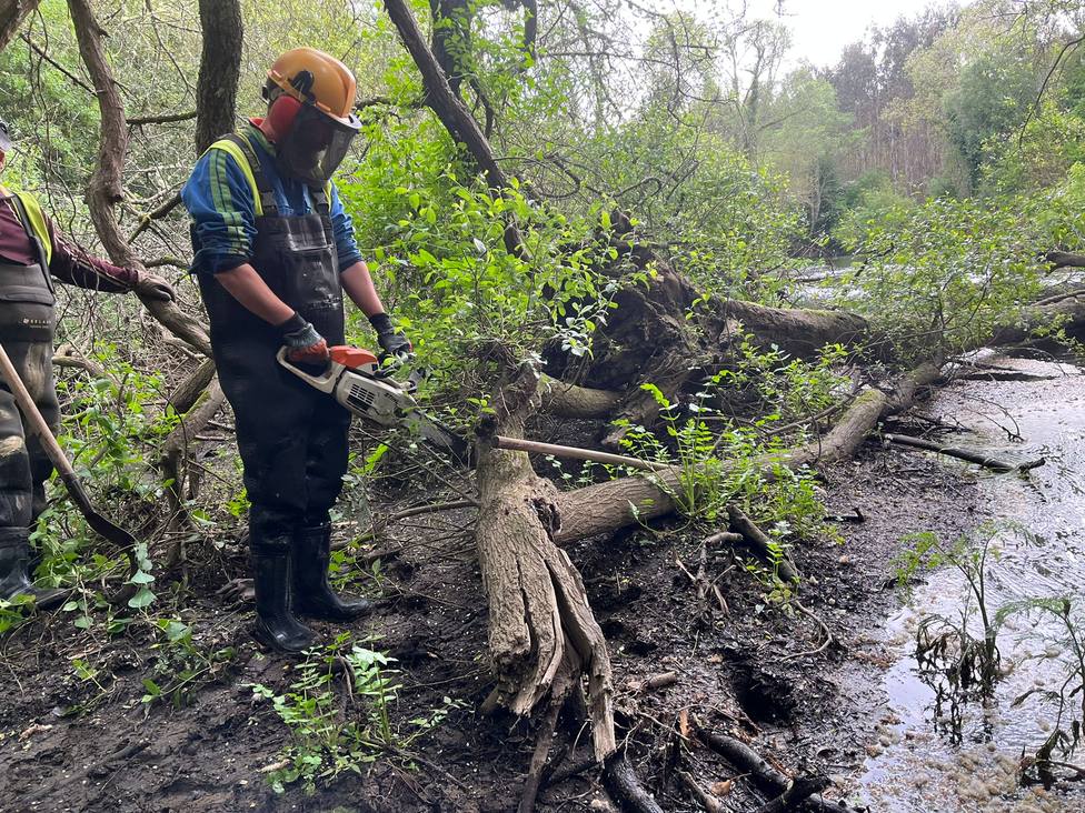 A Xunta realiza traballos de conservación e limpeza nos treitos interurbanos do río Anllóns no concello de Cabana de Bergantiños